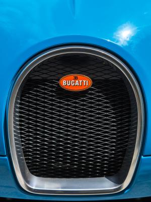 Bugatti Veyron 16.4 Grand Sport Roadster Vitesse Meo Constantini 2013 года  (NA)